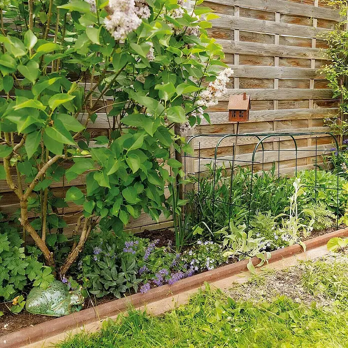Bellissa Rankhilfe Andybell M - 73 x 70 cm, Stahl, Grün - Gartenansicht mit Pflanzenstützgitter aus Metall, das Pflanzen hält und für Ordnung im Beet sorgt. Ideal für üppige Gärten.
