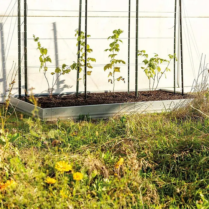 Bellissa Beeteinfassung Pro - 103 x 20 cm, Stahl - Ein erhöhter, rechteckiger Pflanzkasten aus Metall mit Pflanzen darin, umgeben von Gras und Blumen.