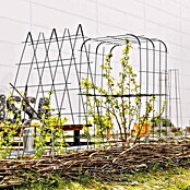 Bellissa Rankhilfe Andybell S (42 x 70 cm, Stahl, Grün) | BAUHAUS