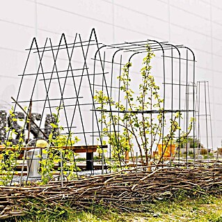 Bellissa Rankhilfe Andybell S (42 x 70 cm, Stahl, Grün)