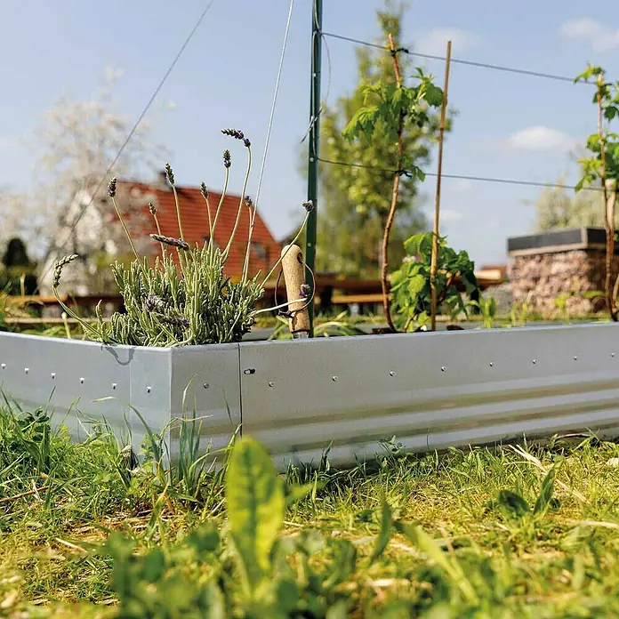 Bellissa Eckverbinder Pro - 13 x 10 x 13 cm, Silbergrau - Metall-Hochbeet mit Lavendel und anderen Pflanzen, ideal für den Garten. Die robuste Konstruktion bietet eine langlebige Lösung für den Anbau.