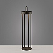 Paul Neuhaus Lámpara de sobremesa a batería Anselm (1,5 W, Negro, Blanco cálido) | BAUHAUS