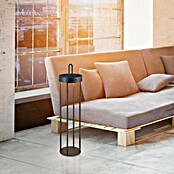 Paul Neuhaus Lámpara de sobremesa a batería Anselm (1,5 W, Negro, Blanco cálido) | BAUHAUS