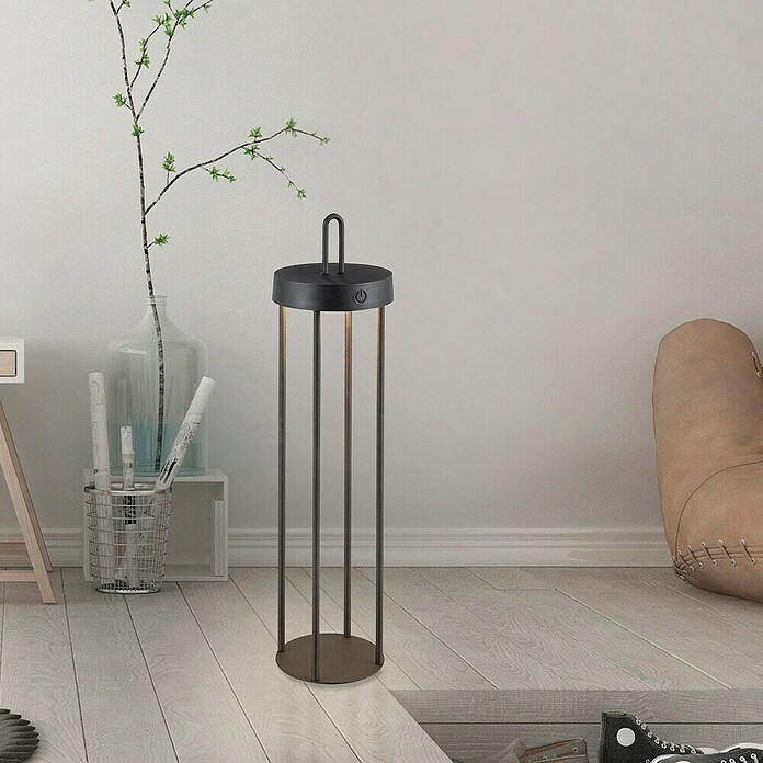 Paul Neuhaus Lámpara de sobremesa a batería Anselm (1,5 W, Negro, Blanco cálido) | BAUHAUS