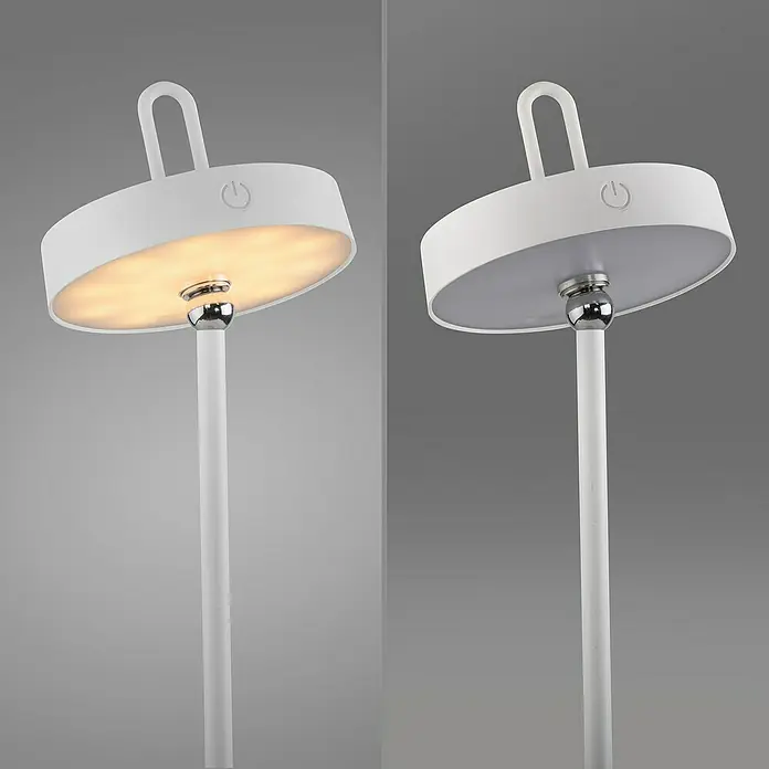 Paul Neuhaus Lámpara de sobremesa LED Amag - 1,5 W, L x An x Al: 15 x 15 x 47,2 cm, Blanco, Blanco cálido - Lámpara de mesa blanca con pantalla redonda y asa, se muestra tanto con la luz encendida como apagada, estilo moderno.