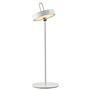 Paul Neuhaus Lámpara de sobremesa LED Amag (1,5 W, L x An x Al: 15 x 15 x 47,2 cm, Blanco, Blanco cálido)