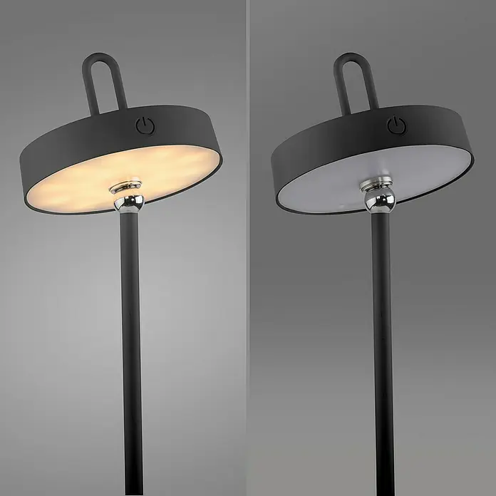 Paul Neuhaus Lámpara de sobremesa LED Amag - 1,5 W, L x An x Al: 15 x 15 x 47,2 cm, Negro, Blanco cálido - Lámpara de mesa con luz blanca cálida encendida y apagada.