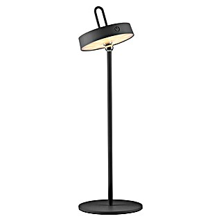 Paul Neuhaus Lámpara de sobremesa LED Amag (1,5 W, L x An x Al: 15 x 15 x 47,2 cm, Negro, Blanco cálido)