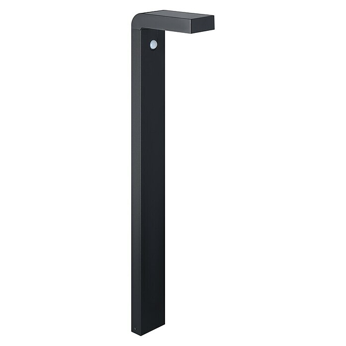 Eglo Lámpara de pie solar Baracconi (18 W, L x An x Al: 9 x 20 x 80 cm, Negro, IP44) | BAUHAUS