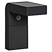 Eglo Aplique solar para exterior Baracconi (18 W, Negro, IP44, 300 lm) | BAUHAUS