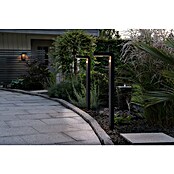 Eglo Aplique solar para exterior Baracconi (18 W, Negro, IP44, 300 lm) | BAUHAUS