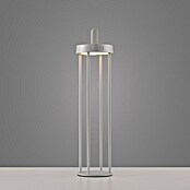 Paul Neuhaus Lámpara de sobremesa a batería Anselm (1,5 W, Ø x Al: 12,8 x 50,4 cm, Gris, Blanco cálido) | BAUHAUS