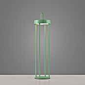 Paul Neuhaus Lámpara de sobremesa a batería Anselm (1,5 W, Ø x Al: 12,8 x 50,4 cm, Verde, Blanco cálido) | BAUHAUS