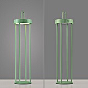 Paul Neuhaus Lámpara de sobremesa a batería Anselm (1,5 W, Ø x Al: 12,8 x 50,4 cm, Verde, Blanco cálido) | BAUHAUS