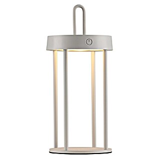 Paul Neuhaus Lámpara de sobremesa a batería Anselm (1 W, Ø x Al: 12,8 x 28,4 cm, Gris, Blanco cálido)