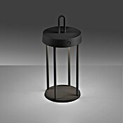 Paul Neuhaus Lámpara de sobremesa a batería Anselm (1 W, Negro, Blanco cálido) | BAUHAUS