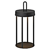 Paul Neuhaus Lámpara de sobremesa a batería Anselm (1 W, Negro, Blanco cálido) | BAUHAUS