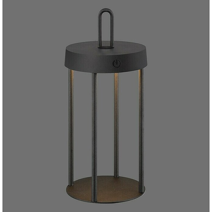 Paul Neuhaus Lámpara de sobremesa a batería Anselm (1 W, Negro, Blanco cálido) | BAUHAUS