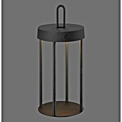 Paul Neuhaus Lámpara de sobremesa a batería Anselm (1 W, Negro, Blanco cálido) | BAUHAUS