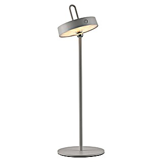 Paul Neuhaus Lámpara de sobremesa LED Amag (1,5 W, L x An x Al: 15 x 15 x 47,2 cm, Gris, Blanco cálido)