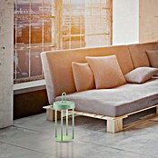 Paul Neuhaus Lámpara de sobremesa a batería Anselm (1 W, Verde, Blanco cálido) | BAUHAUS
