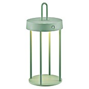 Paul Neuhaus Lámpara de sobremesa a batería Anselm (1 W, Verde, Blanco cálido) | BAUHAUS