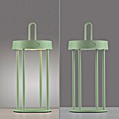 Paul Neuhaus Lámpara de sobremesa a batería Anselm (1 W, Verde, Blanco cálido) | BAUHAUS