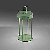 Paul Neuhaus Lámpara de sobremesa a batería Anselm (1 W, Verde, Blanco cálido) | BAUHAUS