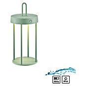 Paul Neuhaus Lámpara de sobremesa a batería Anselm (1 W, Verde, Blanco cálido) | BAUHAUS
