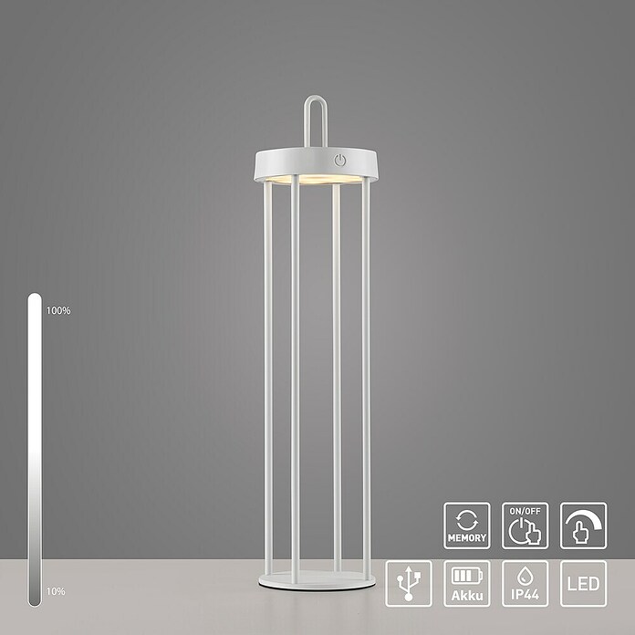 Paul Neuhaus Lámpara de sobremesa a batería Anselm (1,5 W, Blanco, Blanco cálido) | BAUHAUS