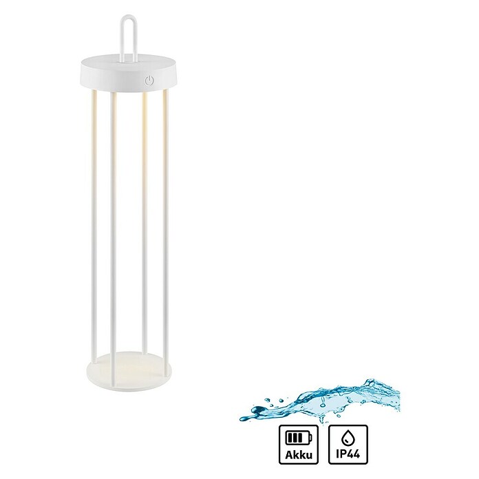 Paul Neuhaus Lámpara de sobremesa a batería Anselm (1,5 W, Blanco, Blanco cálido) | BAUHAUS