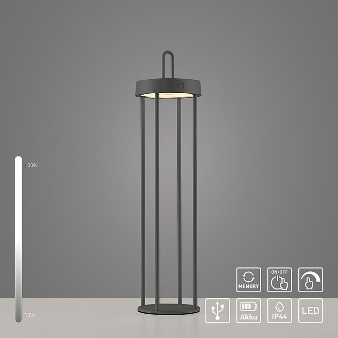 Paul Neuhaus Lámpara de sobremesa a batería Anselm (1,5 W, Negro, Blanco cálido) | BAUHAUS