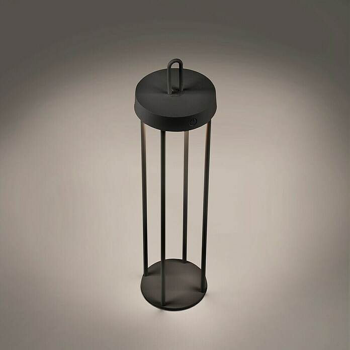 Paul Neuhaus Lámpara de sobremesa a batería Anselm (1,5 W, Negro, Blanco cálido) | BAUHAUS