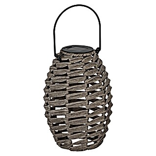Eglo Lámpara de sobremesa solar Z_Solar (6 W, Gris, IP44)