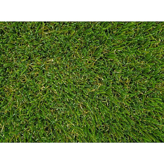Césped artificial Boracay (5 x 2 m, Verde, Altura del pelo: 30 mm, Densidad: 19.950 puntadas/m²) | BAUHAUS