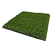 Césped artificial Boracay (5 x 2 m, Verde, Altura del pelo: 30 mm, Densidad: 19.950 puntadas/m²) | BAUHAUS