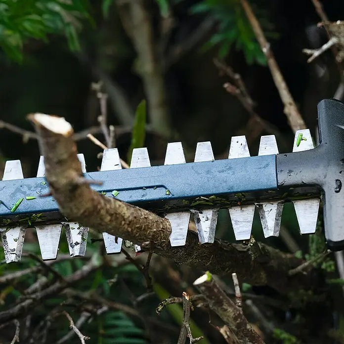 Bosch Professional AMPShare 18V Akku-Heckenschere GHE 18V-50 II18 V, Ohne Akku, Schwertlänge: 50 cm - Eine Heckenschere schneidet Äste in einem Garten. Die scharfen Klingen der Heckenschere sorgen für einen präzisen Schnitt von Hecken und Sträuchern.