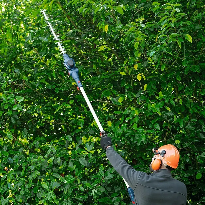Bosch Professional AMPShare 18V Teleskop-Heckenschere GHE 18V-50 TP - 18 V, Ohne Akku, Schnittlänge: 50 cm - Ein Mann mit Schutzhelm und Ohrenschützern benutzt eine lange Heckenschere, um eine hohe Hecke zu schneiden.