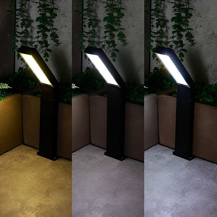 Arte confort Baliza exterior LED solar Lumeon (Blanco cálido) | BAUHAUS
