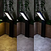 Arte confort Baliza exterior LED solar Lumeon (Blanco cálido) | BAUHAUS