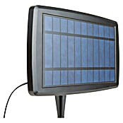 Arte confort Guirnalda solar LED Glimia (Para exterior, 785 cm, Blanco cálido) | BAUHAUS