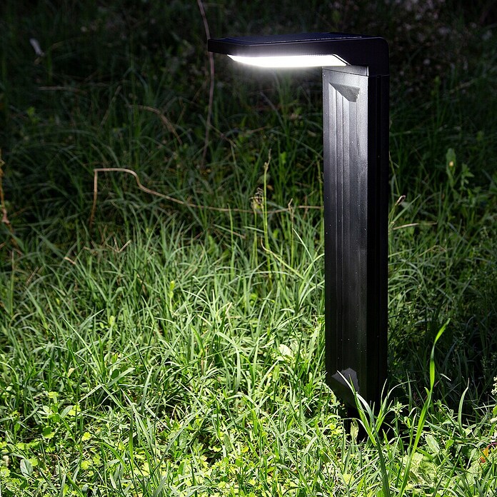 Arte confort Baliza exterior LED solar Altair (Blanco frío) | BAUHAUS