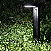 Arte confort Baliza exterior LED solar Altair (Blanco frío) | BAUHAUS