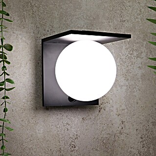Arte confort Aplique solar para exterior Clario (L x An x Al: 13 x 15,2 x 13,7 cm)