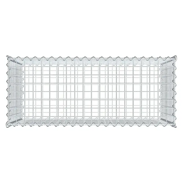 Gabiona Gabione - 100 x 40 x 60 cm, Metall, Maschenbreite: 50 mm, Maschenhöhe: 50 mm - Ein Gabionenkäfig aus verzinktem Drahtgitter, ideal für den Garten- und Landschaftsbau, robust und vielseitig einsetzbar.