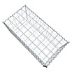 Gabiona Gabione (100 x 50 x 50 cm, Metall, Maschenbreite: 100 mm, Maschenhöhe: 100 mm) | BAUHAUS
