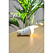 New Garden Bombilla LED recargable Lapera (E27, Intensidad regulable, Blanco cálido, 350 lm, 3,5 W) | BAUHAUS