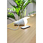 New Garden Bombilla LED recargable Lapera (E27, Intensidad regulable, Blanco cálido, 350 lm, 3,5 W) | BAUHAUS