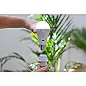 New Garden Bombilla LED recargable Lapera (E27, Intensidad regulable, Blanco cálido, 350 lm, 3,5 W) | BAUHAUS
