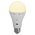 New Garden Bombilla LED recargable Lapera 